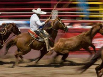 Horse tripping Charrea Rodeo