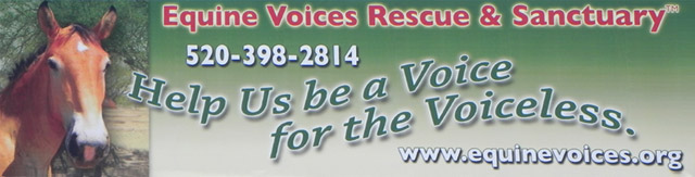 520-398-2814 Help us be a Voice for the Voiceless 