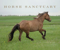 © Karen Tweedy-Holmes, Horse Sanctuary by Allison Milionis, Universe, 2013