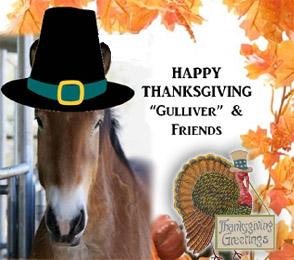 gulliver-thanksgiving-turkey (3)