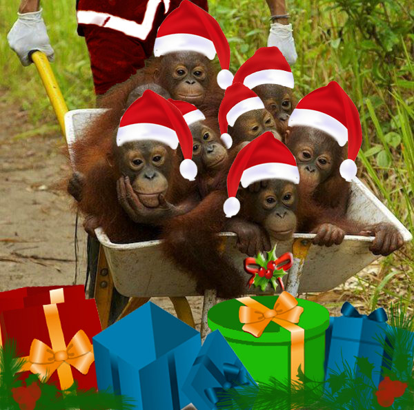 Christmas Cheer (Monkey Business)